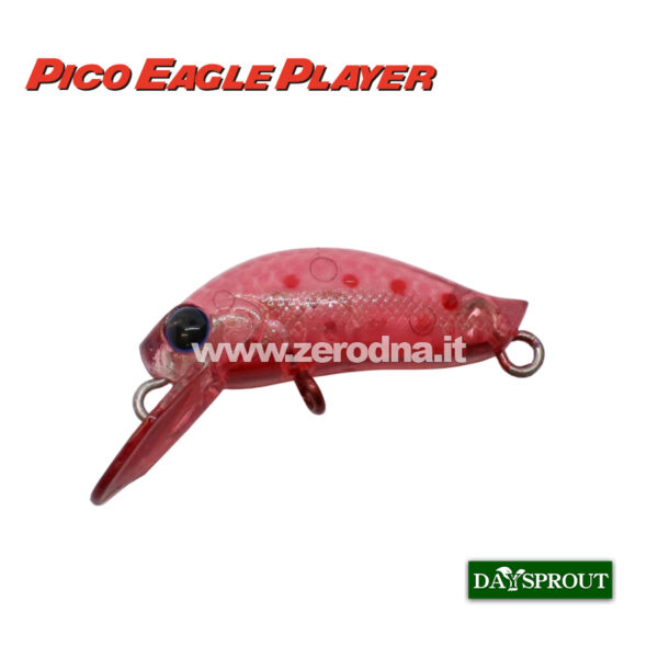 Daysprout Pico Eagle Player F