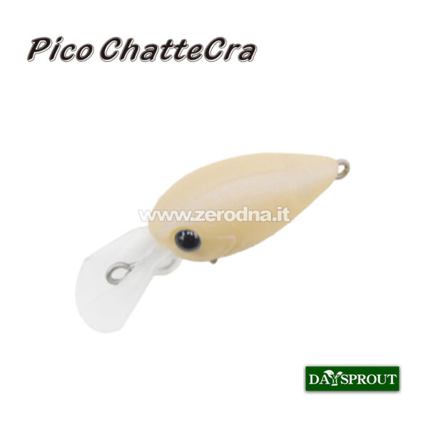 Daysprout Pico Chattercra