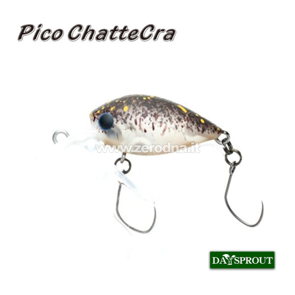 Daysprout Pico Chattercra