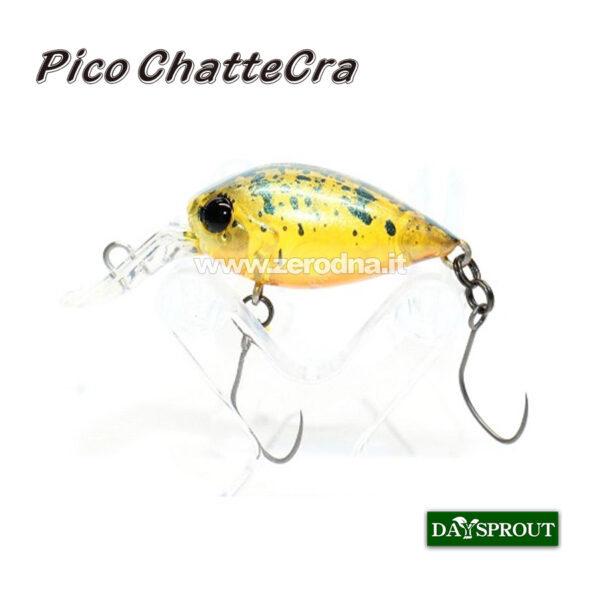 Daysprout Pico Chattercra