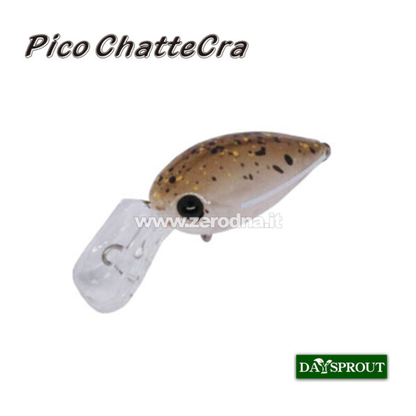 Daysprout Pico Chattercra
