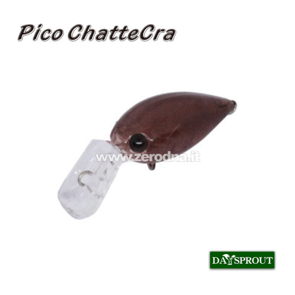 Daysprout Pico Chattercra