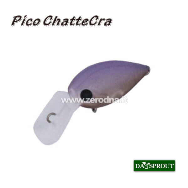 Daysprout Pico Chattercra