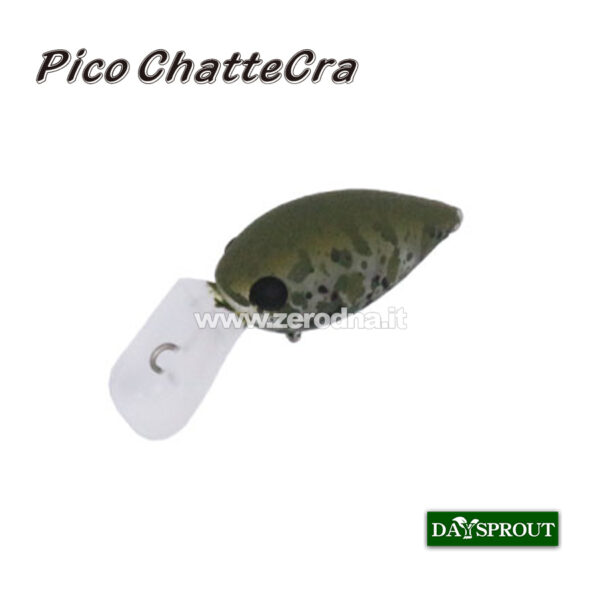 Daysprout Pico Chattercra