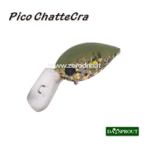 Daysprout Pico Chattercra