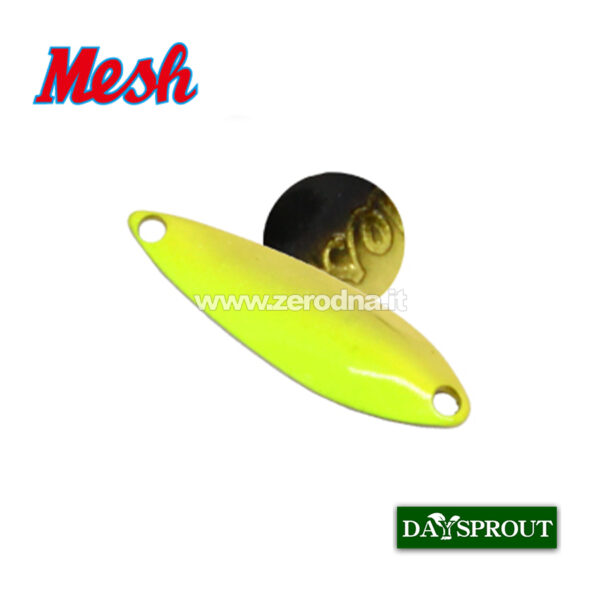Daysprout Mesh