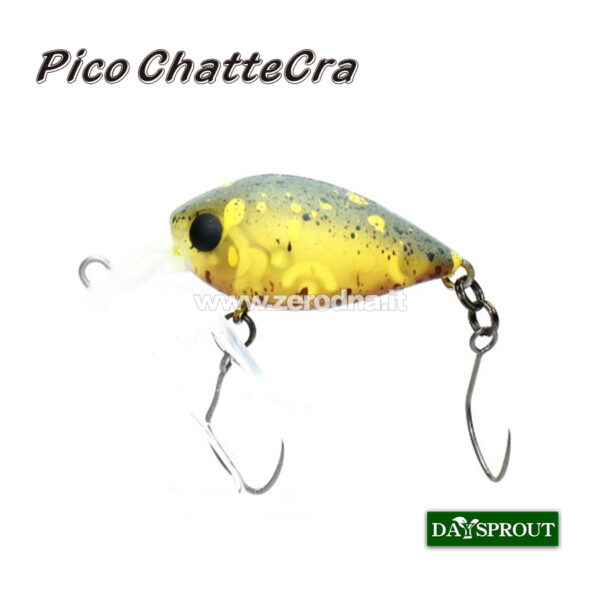 Daysprout Pico Chattercra