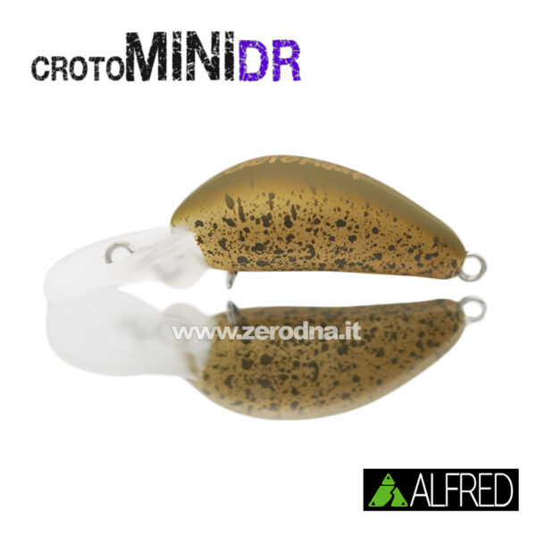 Alfred Croto Mini