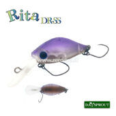 Daysprout Rita