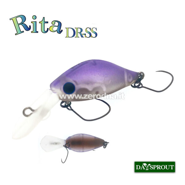 Daysprout Rita