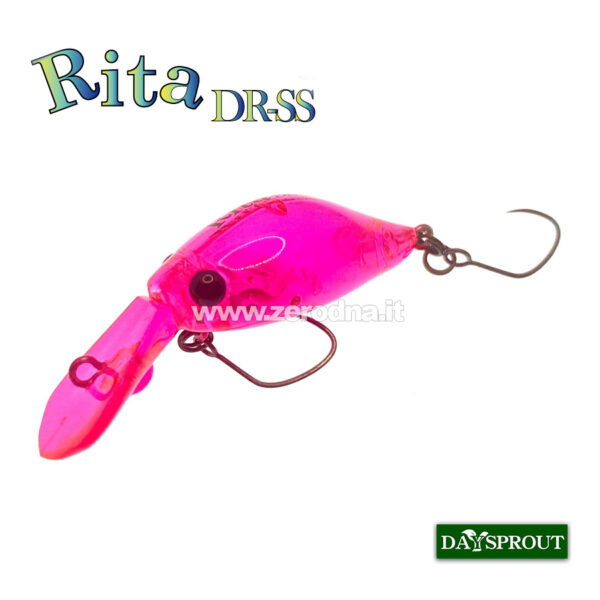 Daysprout Rita
