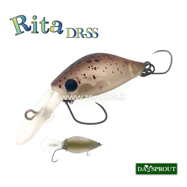 Daysprout Rita