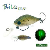 Daysprout Rita
