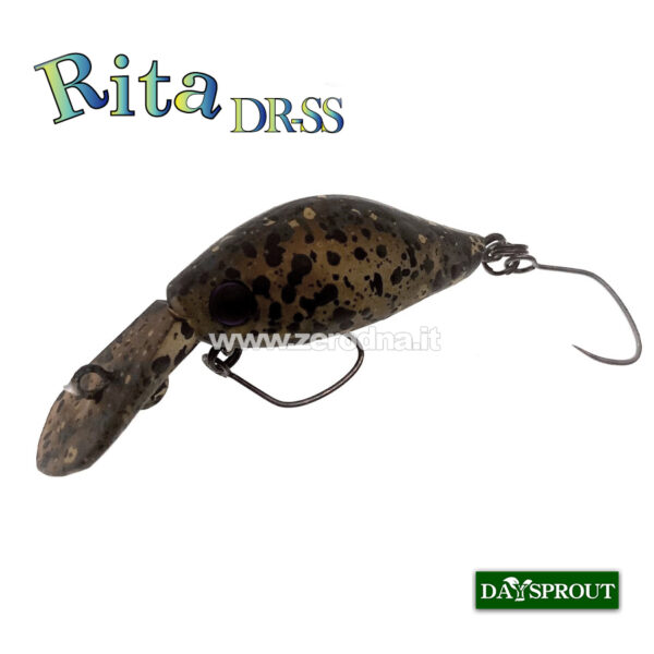 Daysprout Rita