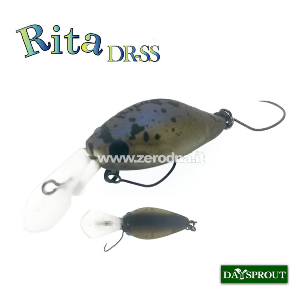 Daysprout Rita