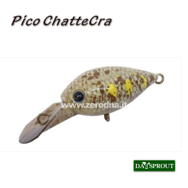 Daysprout Pico Chattercra
