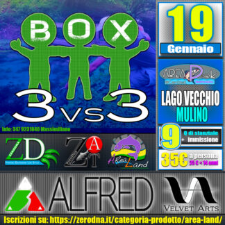 3vs3 Box - 19 Gennaio