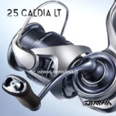 Daiwa 25 Caldia