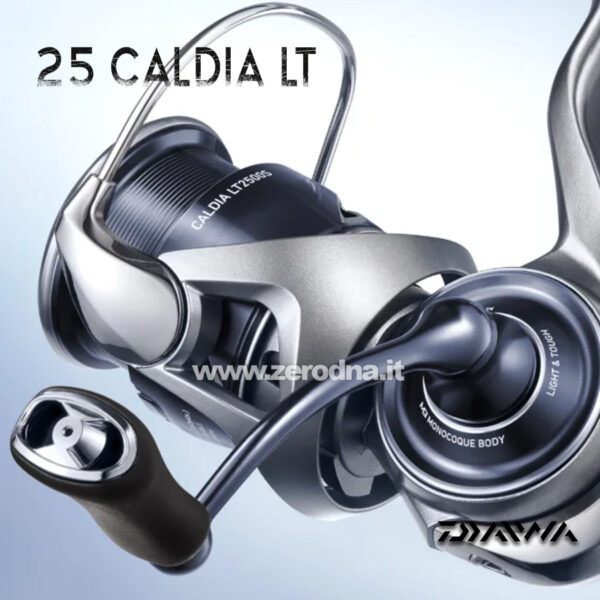 Daiwa 25 Caldia