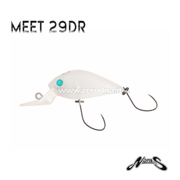 Nories Meet 29