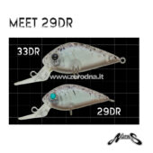 Nories Meet 29
