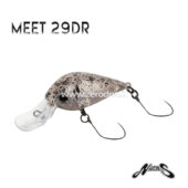 Nories Meet 29