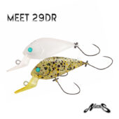 Nories Meet 29