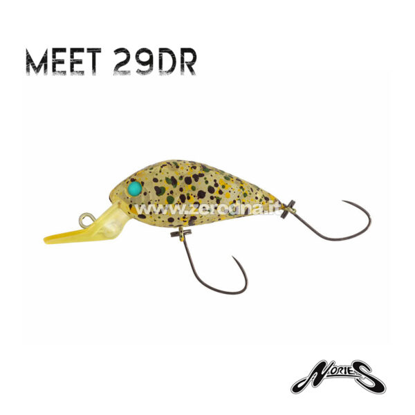 Nories Meet 29