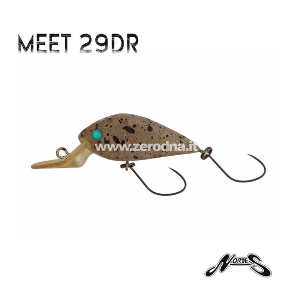 Nories Meet 29
