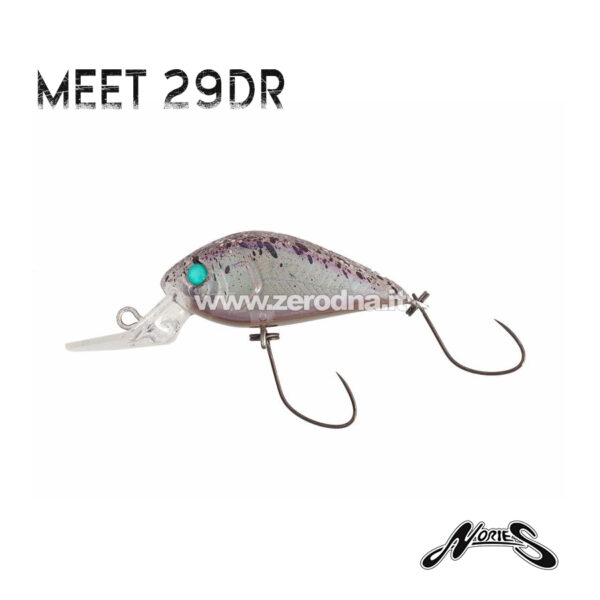 Nories Meet 29