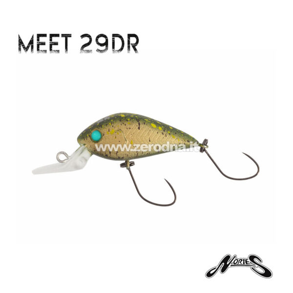 Nories Meet 29