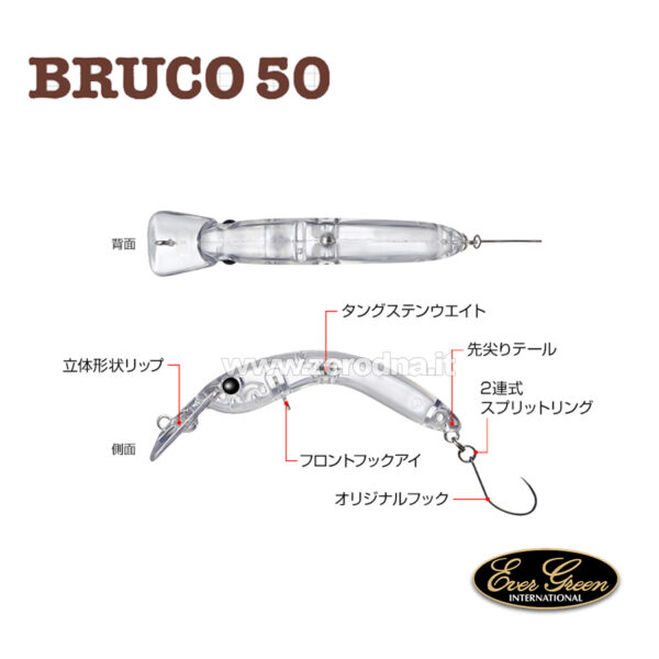 Evergreen Bruco 50