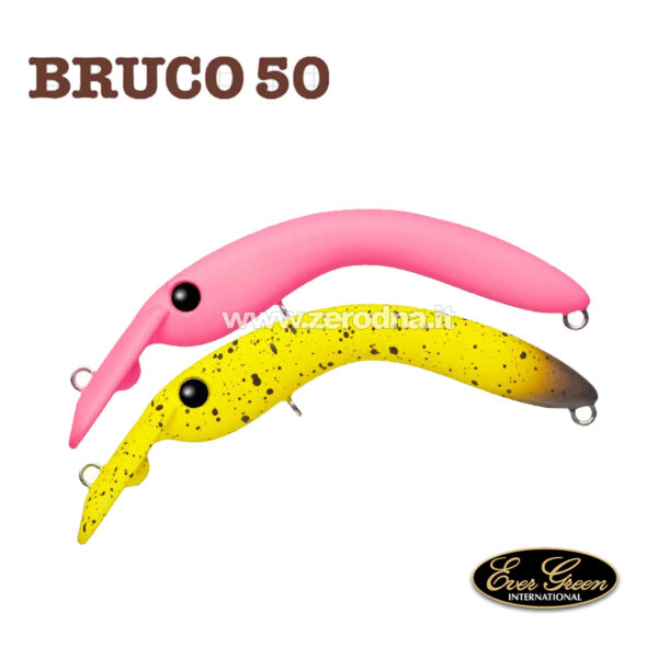 Evergreen Bruco 50