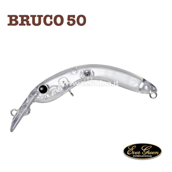 Evergreen Bruco 50 - #01