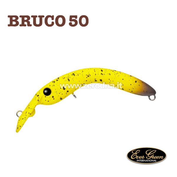 Evergreen Bruco 50 - #41