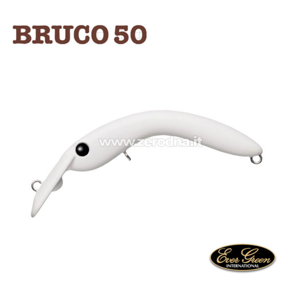 Evergreen Bruco 50 - #42