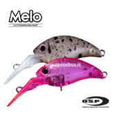 Osp Melo Dr