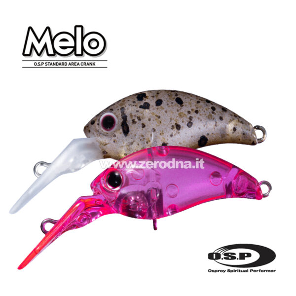 Osp Melo Dr