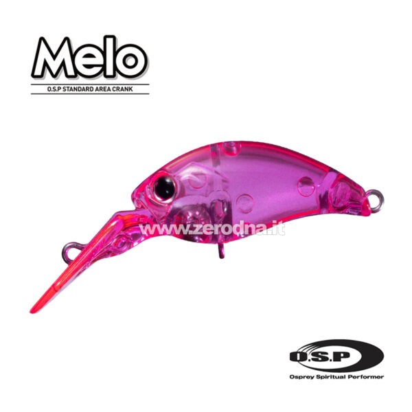 Osp Melo Dr