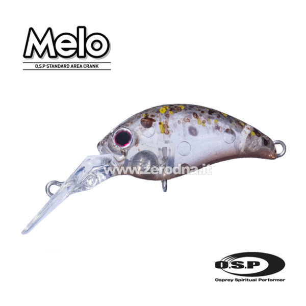 Osp Melo Dr