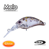 Osp Melo Dr