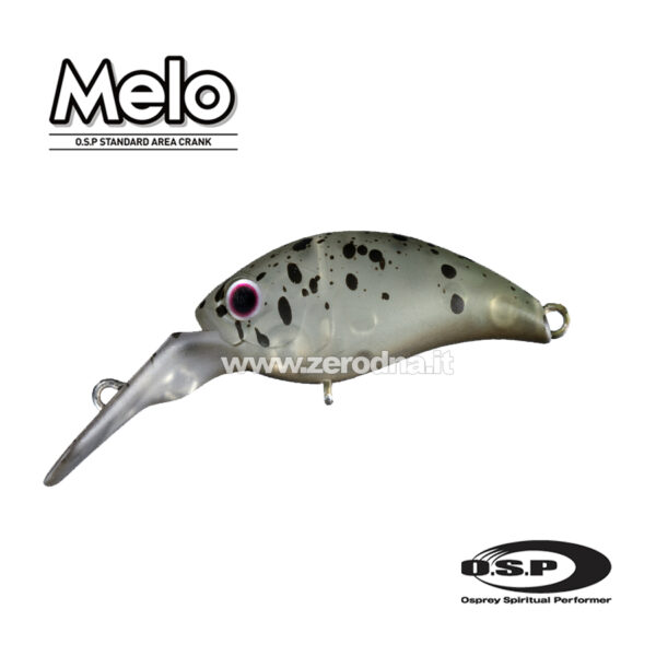 Osp Melo Dr