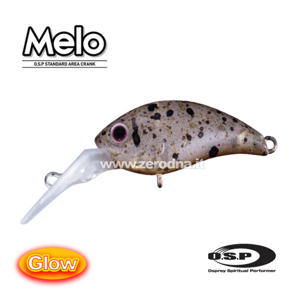 Osp Melo Dr