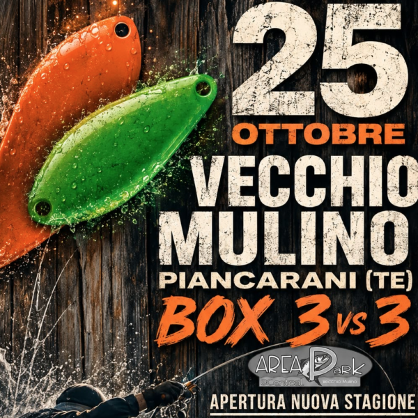 3vs3 Box - 25 Ottobre