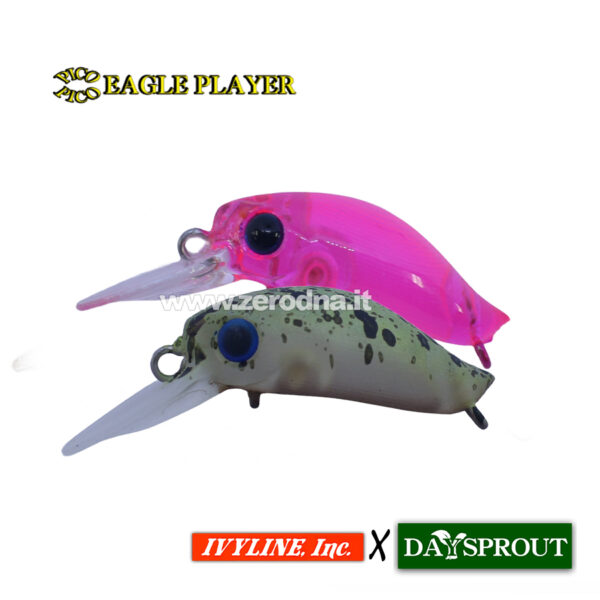 Daysprout Pico Pico Eagle Player